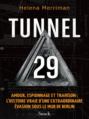 cover image of Tunnel 29